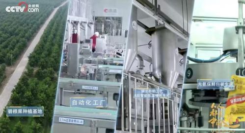 洽洽食品2024年首季業(yè)績(jī)亮眼 場(chǎng)景與渠道創(chuàng)新驅(qū)動(dòng)收入利潤(rùn)雙增