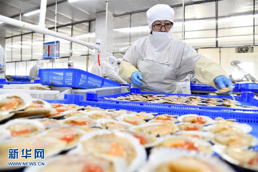 積極發(fā)展海洋食品加工產(chǎn)業(yè)，構(gòu)建全產(chǎn)業(yè)鏈協(xié)同發(fā)展新格局