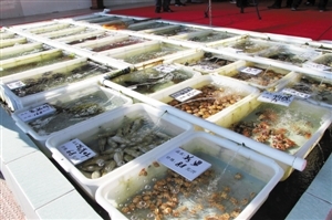 南澳海鮮餐廳推新模式 取消加工費(fèi)，強(qiáng)化銷售品質(zhì)承諾